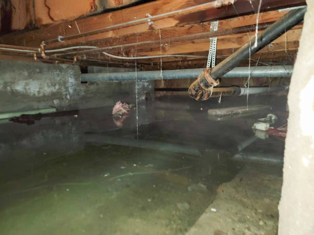 Best Commercial Water Damage Restoration in Woodlake, CA